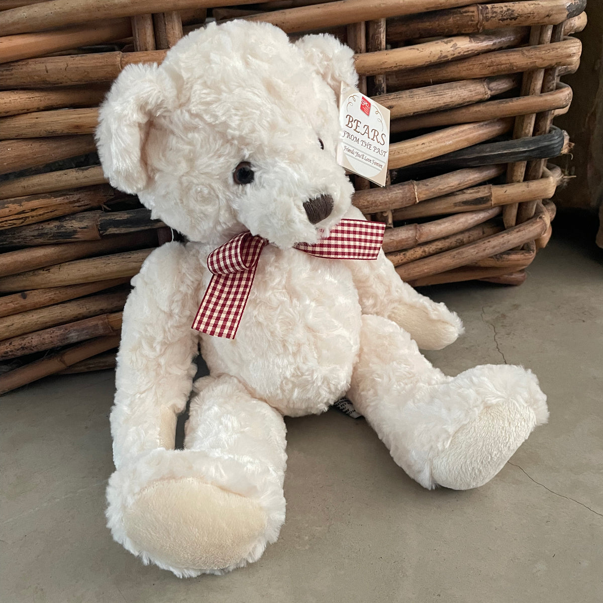 PG-Teddy-Ellie2_1200x1200.jpg?