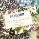    Handmade Soap | Wild Basil and Rosemary