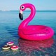 Pool Lilo | Flamingo