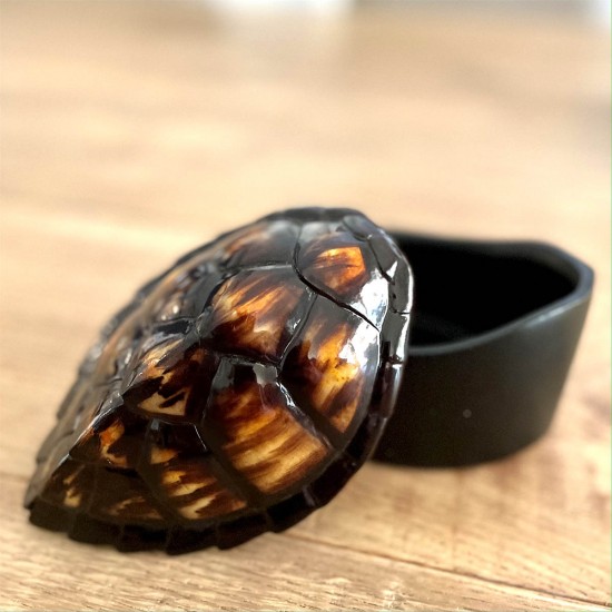 Tortoise Shell Box