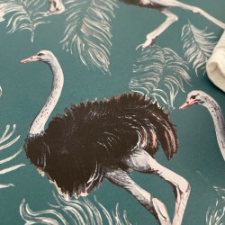 24 Disposable Placemats | Ostrich