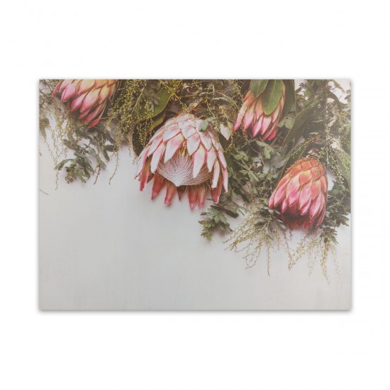 24 Disposable Placemats | Perfect Proteas