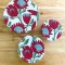 Pack of 3 Bowl Covers | Protea Red on White