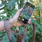 Phone Cover with Woven Straps | DARK LEOPARD